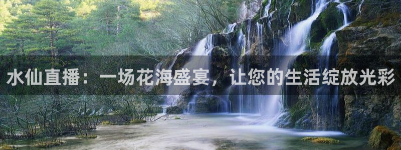 上海五星体育直播回看：水仙直播：一场花海盛宴，让您的生活绽放光彩