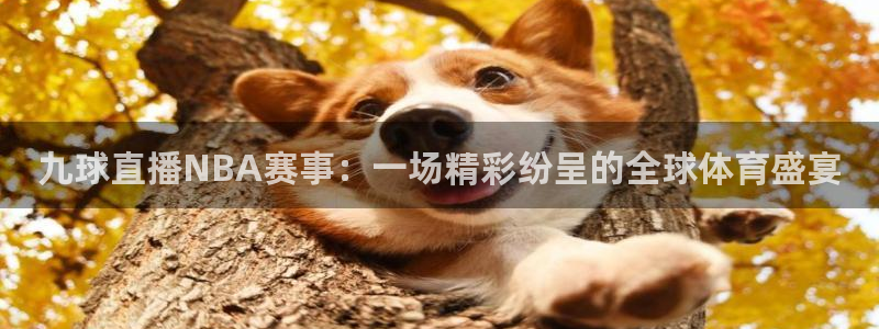 五星体育马晓薇：九球直播NBA赛事：一场精彩纷呈的全球体育盛宴