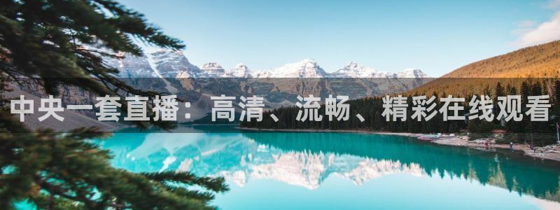 五星体育节目表直播：中央一套直播：高清、流畅、精彩在线观看