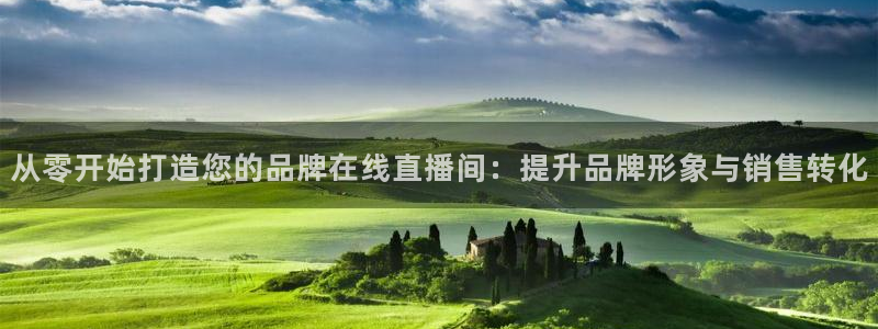 上海五星体育：从零开始打造您的品牌在线直播间：提升品牌形象与销售转化