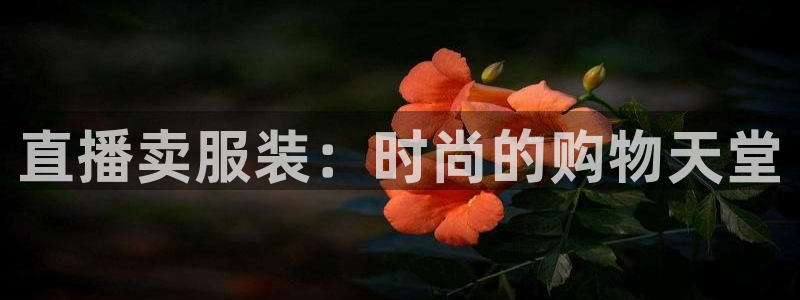 五星体育高清直播：直播卖服装：时尚的购物天堂