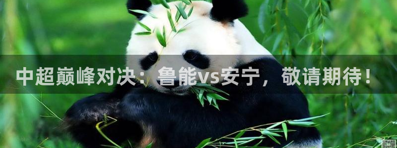 五星体育转播上海男篮比赛：中超巅峰对决：鲁能vs安宁，敬请期待！