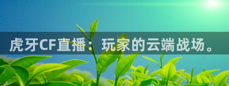 五星体育斯诺克直播：虎牙CF直播：玩家的云端战场。