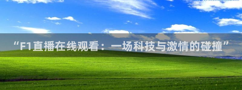 手机看五星体育：“F1直播在线观看：一场科技与激情的碰撞”