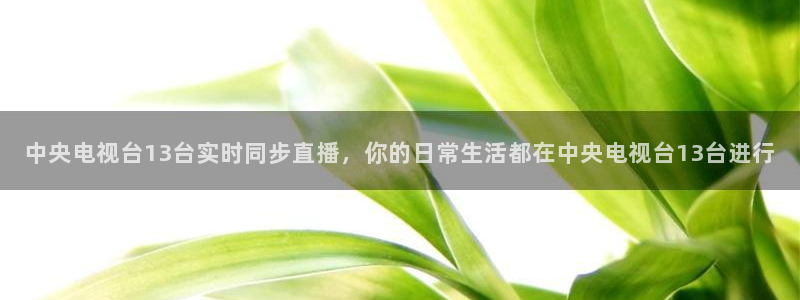 上海五星体育频道线直播：中央电视台13台实时同步直播，你的日常生活都在中央电视台13台进行