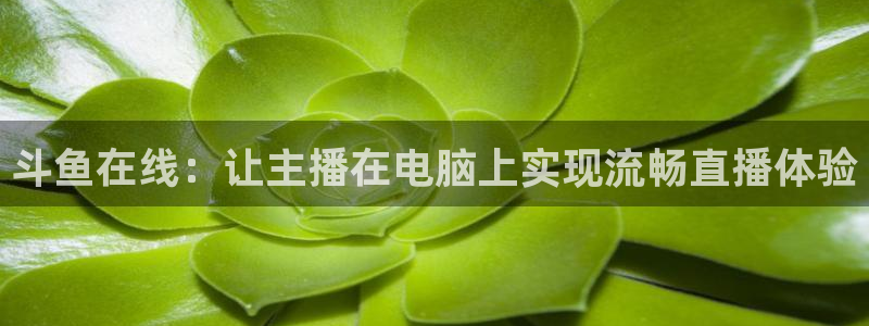 五星体育f1直播间：斗鱼在线：让主播在电脑上实现流畅直播体验