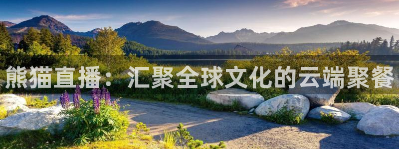 五星体育 直播：熊猫直播：汇聚全球文化的云端聚餐